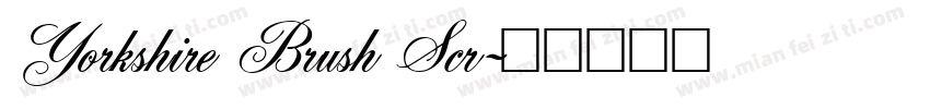 Yorkshire Brush Scr字体转换